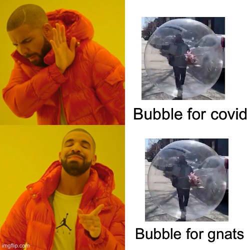 Priorities... | Bubble for covid; Bubble for gnats | image tagged in memes,drake hotline bling | made w/ Imgflip meme maker