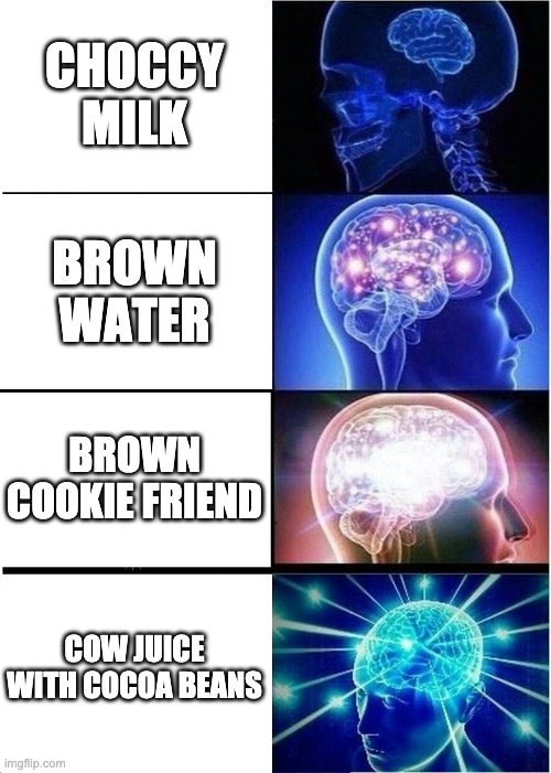Expanding Brain Meme | CHOCCY MILK BROWN WATER BROWN COOKIE FRIEND COW JUICE WITH COCOA BEANS | image tagged in memes,expanding brain | made w/ Imgflip meme maker