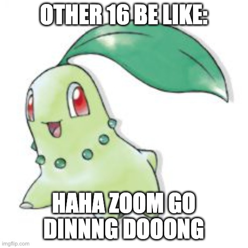 Chikorita | OTHER 16 BE LIKE: HAHA ZOOM GO DINNNG DOOONG | image tagged in chikorita | made w/ Imgflip meme maker