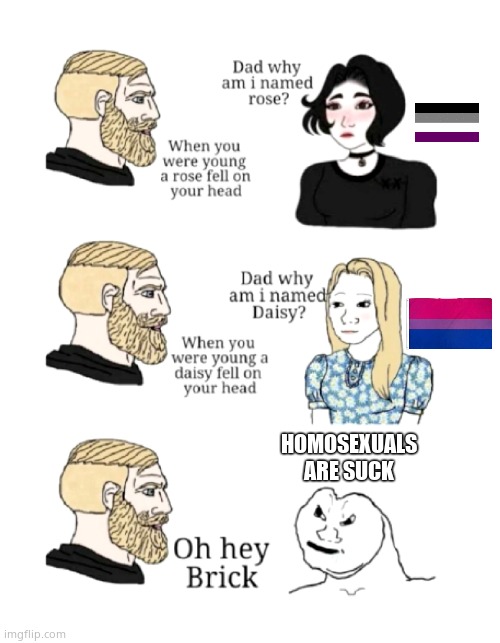 A BRICK MUST'VE FELL ON HIS HEAD ,HOMOSEXUALS ARE AWESOME!!! | HOMOSEXUALS ARE SUCK | image tagged in dad why am i named | made w/ Imgflip meme maker