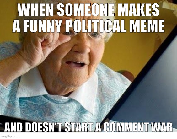 old lady at computer | WHEN SOMEONE MAKES A FUNNY POLITICAL MEME; AND DOESN'T START A COMMENT WAR | image tagged in old lady at computer | made w/ Imgflip meme maker