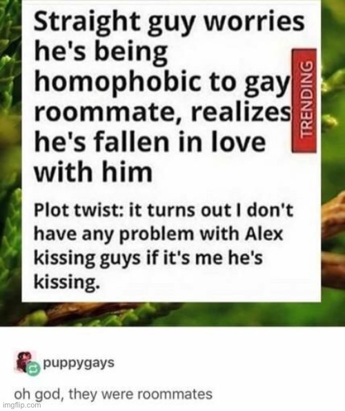 Found this on Reddit, just thought I share. | image tagged in gay | made w/ Imgflip meme maker