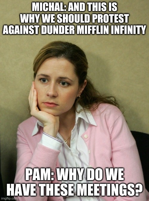 Stupid Meetings | MICHAL: AND THIS IS WHY WE SHOULD PROTEST AGAINST DUNDER MIFFLIN INFINITY; PAM: WHY DO WE HAVE THESE MEETINGS? | image tagged in pam beasley office | made w/ Imgflip meme maker