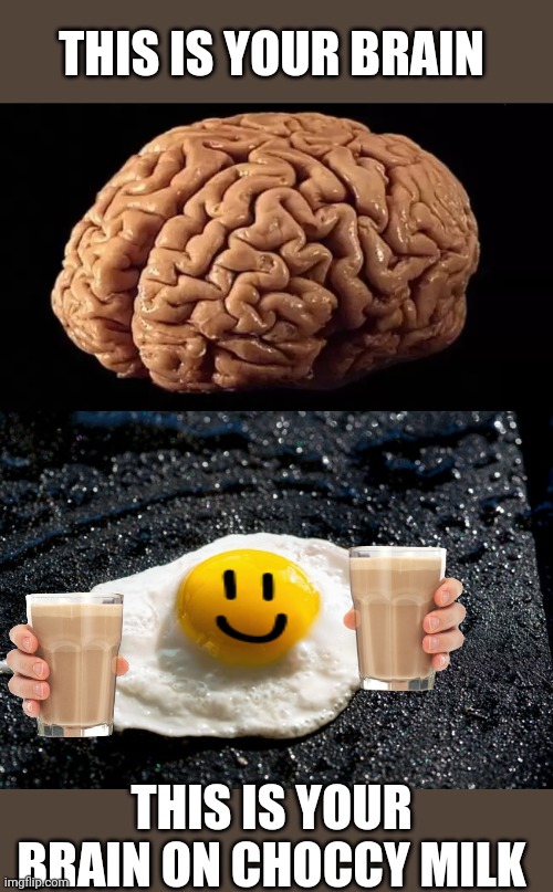 Just say NO to choccy milk memes |  THIS IS YOUR BRAIN; THIS IS YOUR BRAIN ON CHOCCY MILK | image tagged in this is your brain,stupid,choccy milk,memes,dumb meme,just say no | made w/ Imgflip meme maker