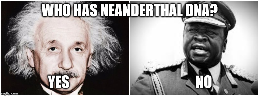 Neanderthal Who | WHO HAS NEANDERTHAL DNA? YES                                               NO | image tagged in neanderthal who | made w/ Imgflip meme maker