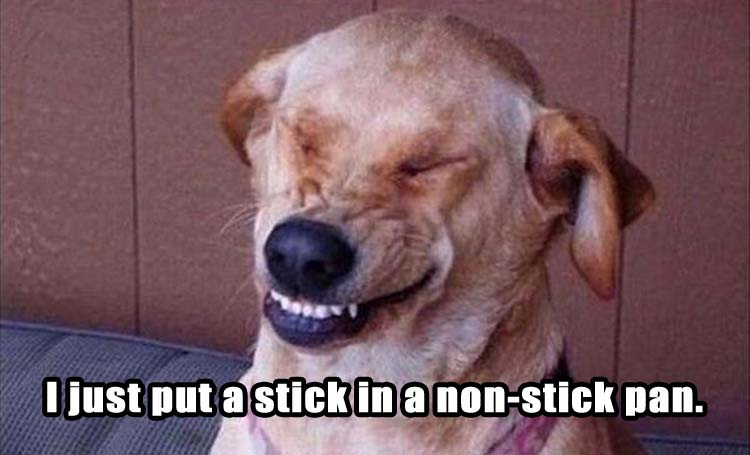 High Quality funny dog Blank Meme Template