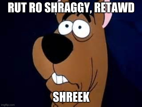 vewy vewy scawed | RUT RO SHRAGGY, RETAWD; SHREEK | image tagged in scooby doo surprised | made w/ Imgflip meme maker