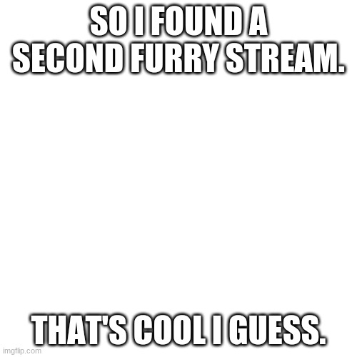 Blank Transparent Square | SO I FOUND A SECOND FURRY STREAM. THAT'S COOL I GUESS. | image tagged in memes,blank transparent square | made w/ Imgflip meme maker