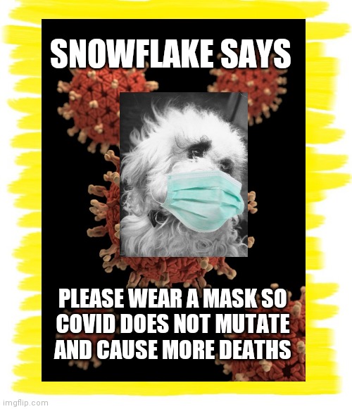 Snowflake Says Wear A Mask | SNOWFLAKE SAYS; PLEASE WEAR A MASK SO 
COVID DOES NOT MUTATE 
AND CAUSE MORE DEATHS | image tagged in snowflake,mask,covid 19,ted cruz,dogs,fun | made w/ Imgflip meme maker