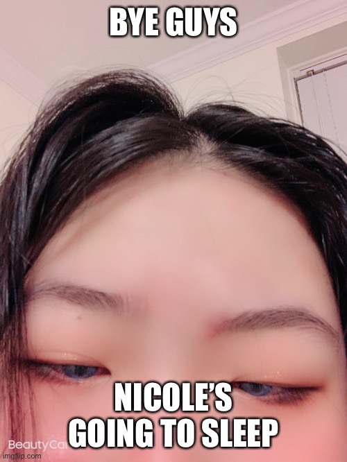 BYE GUYS; NICOLE’S GOING TO SLEEP | made w/ Imgflip meme maker
