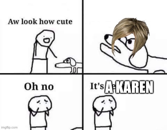 Oh no it’s a karen | image tagged in karen | made w/ Imgflip meme maker