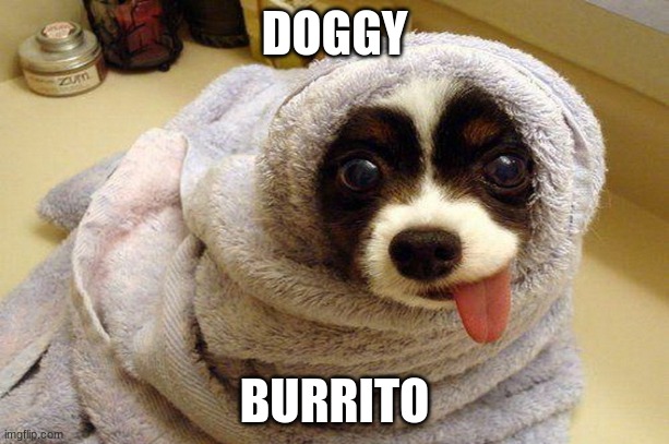 Doggy burrito meme | DOGGY; BURRITO | image tagged in memes,doggy,doggy burrito | made w/ Imgflip meme maker