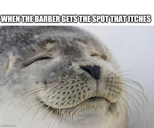Itchy | WHEN THE BARBER GETS THE SPOT THAT ITCHES | image tagged in memes,satisfied seal,barber | made w/ Imgflip meme maker
