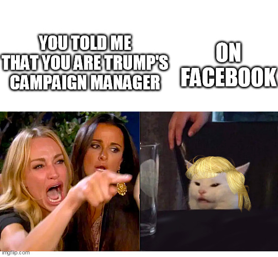 You told me that you are a political campaign manager / on facebook | ON FACEBOOK; YOU TOLD ME THAT YOU ARE TRUMP'S CAMPAIGN MANAGER | image tagged in trump 2024 cat campaign manager,woman yelling at white cat,too funny,trump,viral | made w/ Imgflip meme maker