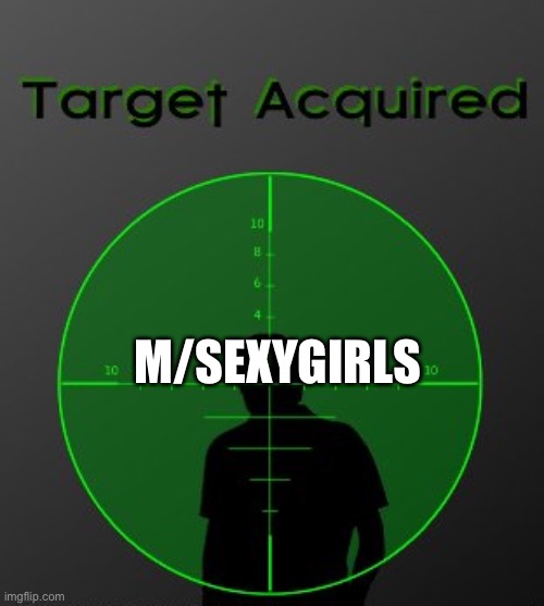 target acquired | M/SEXYGIRLS | image tagged in target acquired | made w/ Imgflip meme maker