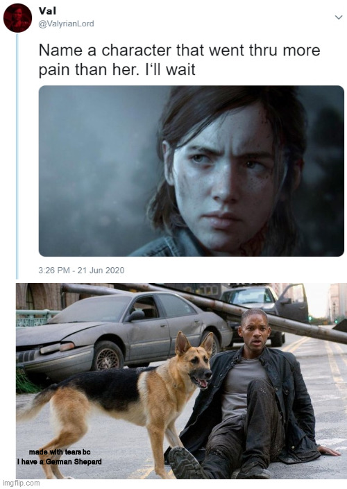 I actually cried during this part of the movie | made with tears bc I have a German Shepard | image tagged in name one character who went through more pain than her,iamlegend,thelastofus | made w/ Imgflip meme maker