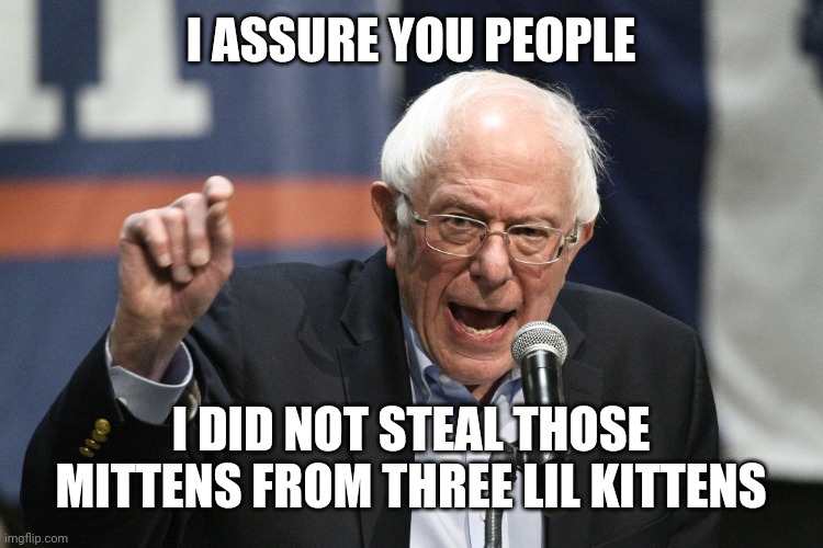 Bernie Sanders | I ASSURE YOU PEOPLE; I DID NOT STEAL THOSE MITTENS FROM THREE LIL KITTENS | image tagged in bernie sanders | made w/ Imgflip meme maker