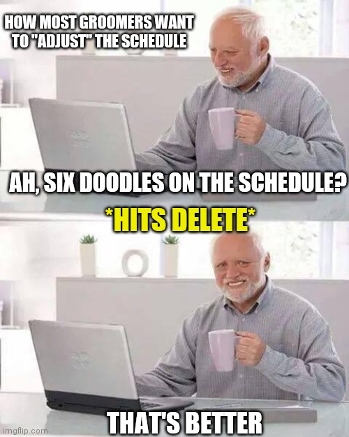 Doodles | HOW MOST GROOMERS WANT TO "ADJUST" THE SCHEDULE; AH, SIX DOODLES ON THE SCHEDULE? *HITS DELETE*; THAT'S BETTER | image tagged in memes,hide the pain harold | made w/ Imgflip meme maker