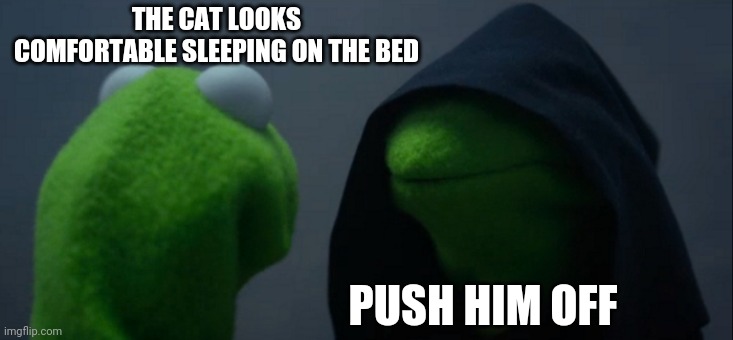 Evil Kermit | THE CAT LOOKS COMFORTABLE SLEEPING ON THE BED; PUSH HIM OFF | image tagged in memes,evil kermit | made w/ Imgflip meme maker