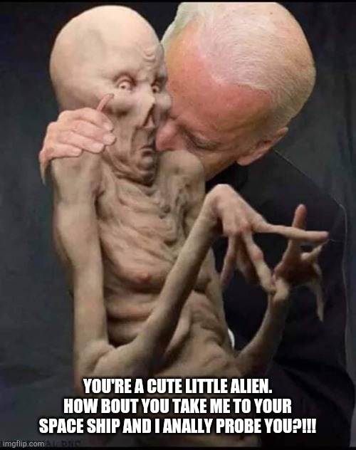 Joe biden area 51 raid | YOU'RE A CUTE LITTLE ALIEN. HOW BOUT YOU TAKE ME TO YOUR SPACE SHIP AND I ANALLY PROBE YOU?!!! | image tagged in joe biden area 51 raid | made w/ Imgflip meme maker