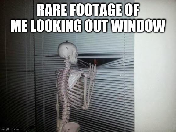 I take my skin & organs off b4 bed so i can rest my 207 bones like a boss | RARE FOOTAGE OF ME LOOKING OUT WINDOW | image tagged in skeleton looking out window | made w/ Imgflip meme maker