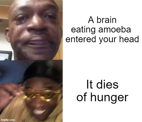 Self burn | A brain eating amoeba  entered your head; It dies of hunger | image tagged in black guy crying and black guy laughing | made w/ Imgflip meme maker