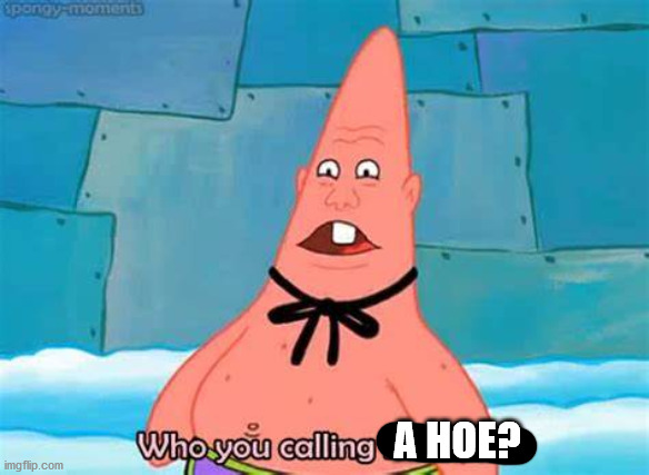 Who you calling pinhead? | A HOE? | image tagged in who you calling pinhead | made w/ Imgflip meme maker