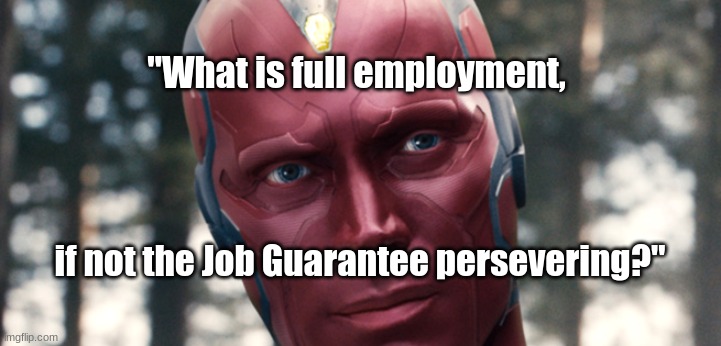 Vision's quote | "What is full employment, if not the Job Guarantee persevering?" | image tagged in funny | made w/ Imgflip meme maker