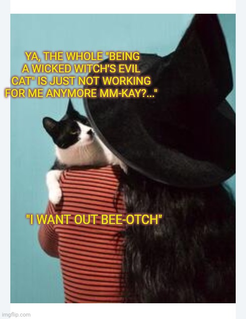 Witchcraft not cutting it | YA, THE WHOLE "BEING A WICKED WITCH'S EVIL CAT" IS JUST NOT WORKING FOR ME ANYMORE MM-KAY?..."; "I WANT OUT BEE-OTCH" | image tagged in wicked witch,burn kitty | made w/ Imgflip meme maker