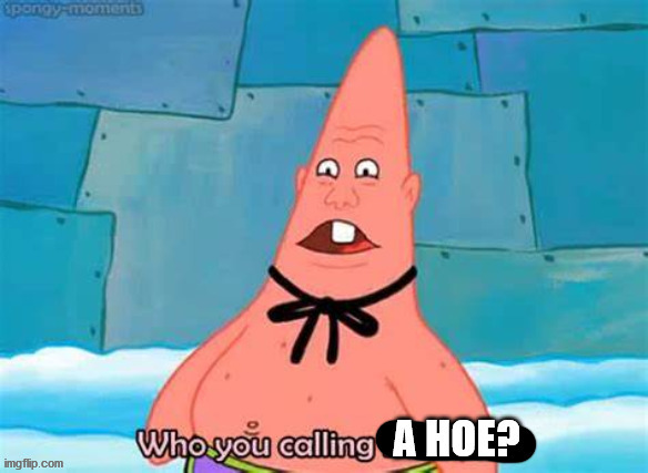 Who you calling a hoe? | image tagged in who you calling a hoe | made w/ Imgflip meme maker