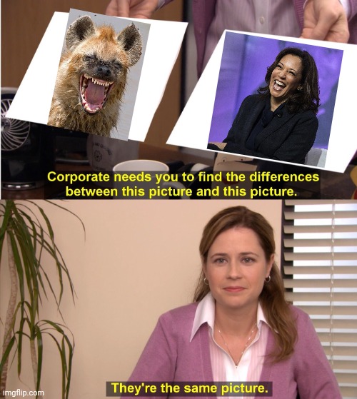 The same. | image tagged in memes,they're the same picture,kamala harris,hyena,funny,politics | made w/ Imgflip meme maker