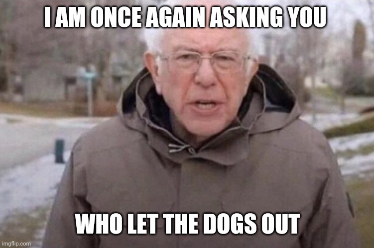 I am once again asking | I AM ONCE AGAIN ASKING YOU; WHO LET THE DOGS OUT | image tagged in i am once again asking | made w/ Imgflip meme maker