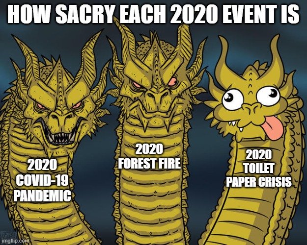 Three-headed Dragon | HOW SACRY EACH 2020 EVENT IS; 2020 FOREST FIRE; 2020 TOILET PAPER CRISIS; 2020 COVID-19 PANDEMIC | image tagged in three-headed dragon | made w/ Imgflip meme maker