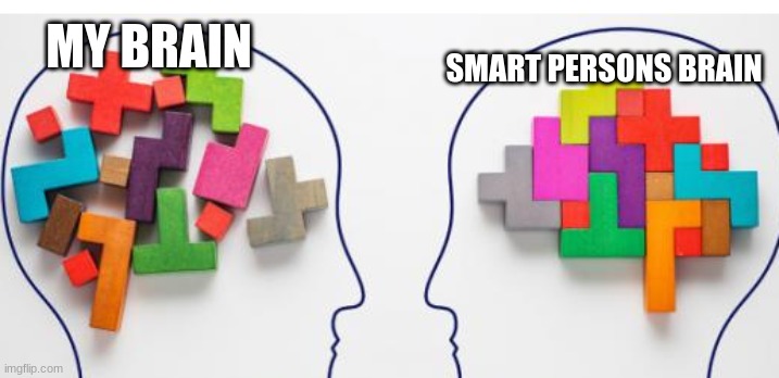 Never before has an image been so relatable | SMART PERSONS BRAIN; MY BRAIN | image tagged in brain,dumb,blocks,lol | made w/ Imgflip meme maker