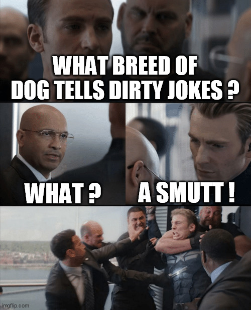 Captain America Elevator Fight | WHAT BREED OF DOG TELLS DIRTY JOKES ? WHAT ? A SMUTT ! | image tagged in captain america elevator fight,captain america,dirty joke,avengers elevator,captain america elevator,captain america fight | made w/ Imgflip meme maker
