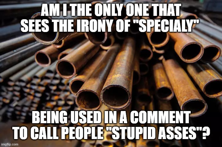 AM I THE ONLY ONE THAT SEES THE IRONY OF "SPECIALY" BEING USED IN A COMMENT TO CALL PEOPLE "STUPID ASSES"? | made w/ Imgflip meme maker