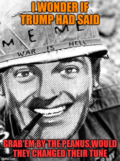 Meme War | I WONDER IF TRUMP HAD SAID GRAB'EM BY THE PEANUS,WOULD THEY CHANGED THEIR TUNE | image tagged in meme war | made w/ Imgflip meme maker
