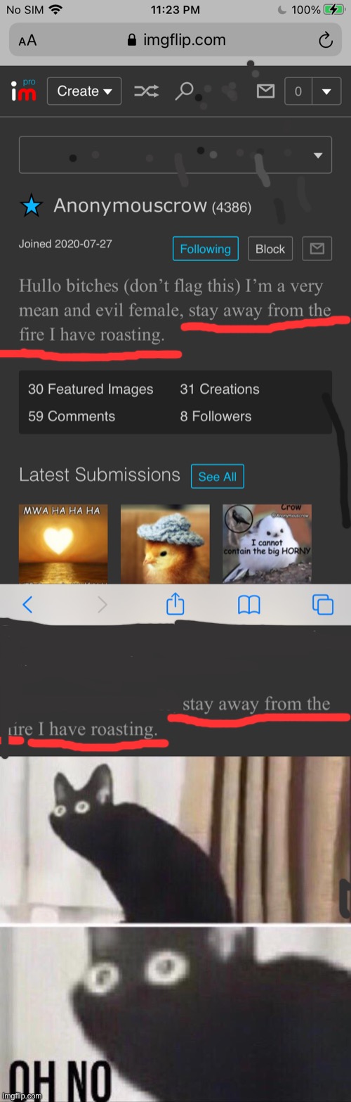 What she gonna do, WHAT SHE GONNA DO!? | image tagged in oh no cat | made w/ Imgflip meme maker
