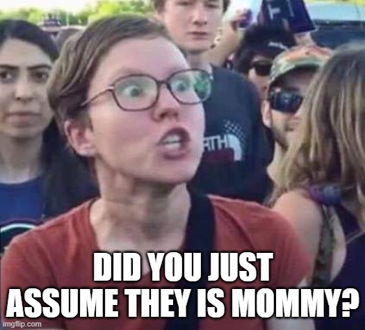 Angry Liberal | DID YOU JUST ASSUME THEY IS MOMMY? | image tagged in angry liberal | made w/ Imgflip meme maker