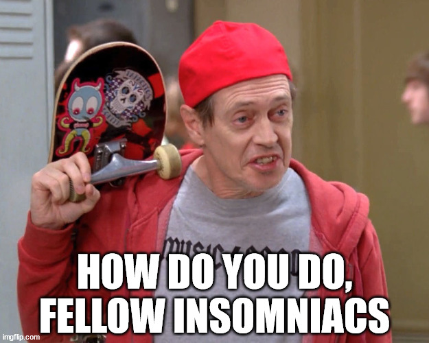 Just chillin wif mah peeps... |  HOW DO YOU DO,
FELLOW INSOMNIACS | image tagged in steve buscemi fellow kids,insomnia,insomniacs,howdy fellow insomniacs,sleep deprivation | made w/ Imgflip meme maker