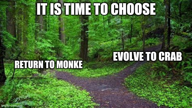 Choose now mortal | IT IS TIME TO CHOOSE; RETURN TO MONKE; EVOLVE TO CRAB | image tagged in two paths | made w/ Imgflip meme maker