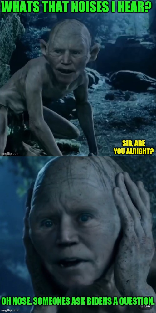 gollum bidan | WHATS THAT NOISES I HEAR? SIR, ARE YOU ALRIGHT? OH NOSE, SOMEONES ASK BIDENS A QUESTION. | image tagged in joe biden,election fraud,voter fraud,lord of the rings,gollum | made w/ Imgflip meme maker