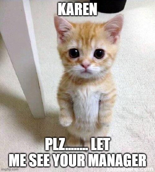 Cute Cat | KAREN; PLZ........ LET ME SEE YOUR MANAGER | image tagged in memes,cute cat | made w/ Imgflip meme maker