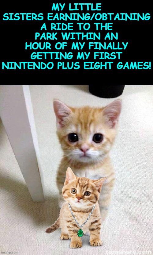 Cute Cat | MY LITTLE SISTERS EARNING/OBTAINING A RIDE TO THE PARK WITHIN AN HOUR OF MY FINALLY GETTING MY FIRST NINTENDO PLUS EIGHT GAMES! | image tagged in memes,cute cat | made w/ Imgflip meme maker