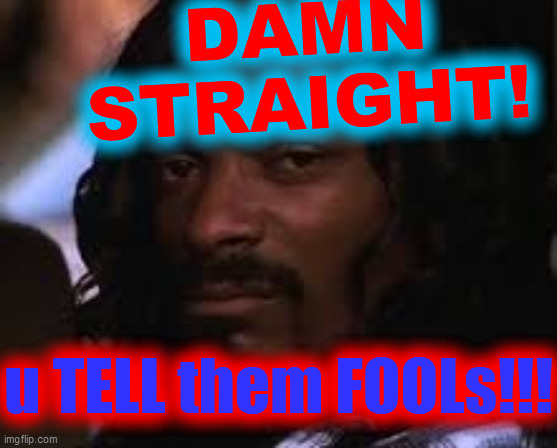 Mad snoop dogg | DAMN
STRAIGHT! u TELL them FOOLs!!! | image tagged in mad snoop dogg | made w/ Imgflip meme maker