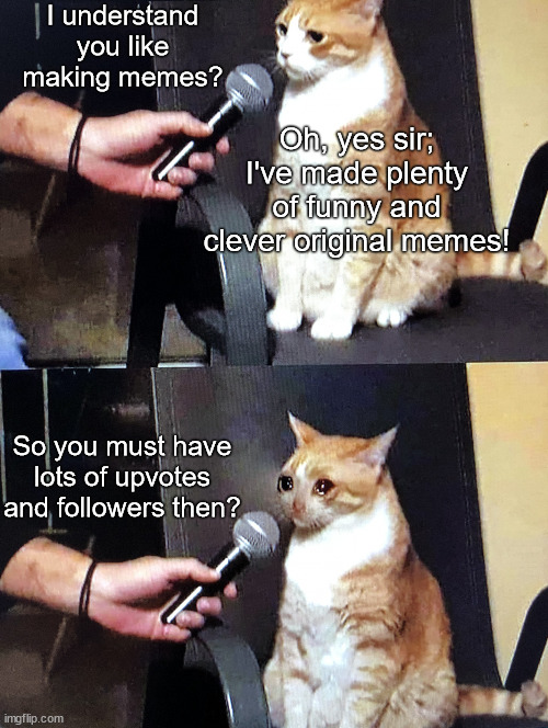 For real doe... | I understand you like making memes? Oh, yes sir; I've made plenty of funny and clever original memes! So you must have lots of upvotes and followers then? | image tagged in crying cat interview,cat interview,sad cat,memes,upvotes,followers | made w/ Imgflip meme maker