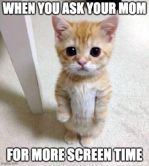 Cute Cat | WHEN YOU ASK YOUR MOM; FOR MORE SCREEN TIME | image tagged in memes,cute cat | made w/ Imgflip meme maker