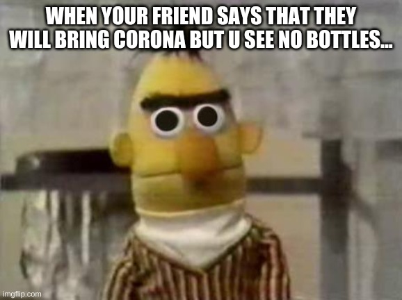 Boi, if you don't-... oh no:( | WHEN YOUR FRIEND SAYS THAT THEY WILL BRING CORONA BUT U SEE NO BOTTLES... | image tagged in bert stare | made w/ Imgflip meme maker