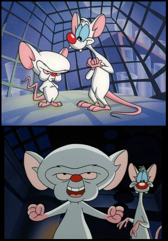 Pinky and the Brain Blank Meme Template