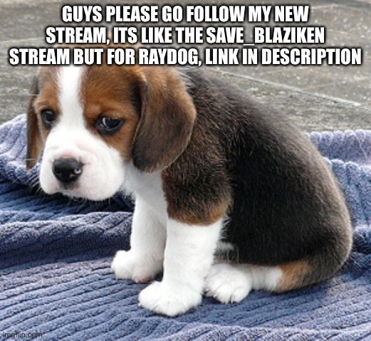 imgflip.com/m/SaveRaydog | GUYS PLEASE GO FOLLOW MY NEW STREAM, ITS LIKE THE SAVE_BLAZIKEN STREAM BUT FOR RAYDOG, LINK IN DESCRIPTION | image tagged in sad dog | made w/ Imgflip meme maker